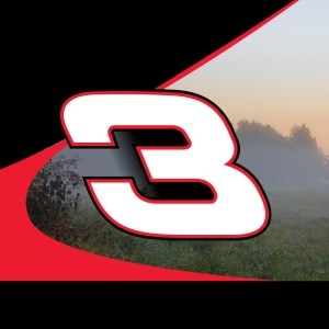 Austin Dillon scheme
