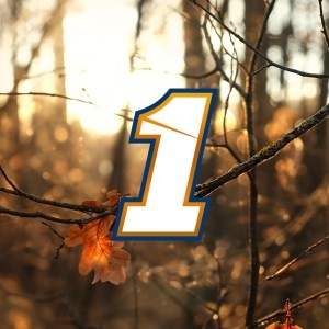 #1 Chastain