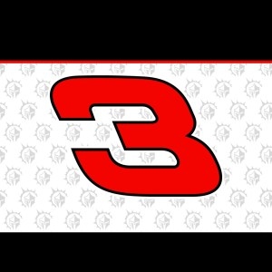 Austin Dillon scheme