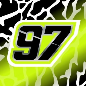Shane van Gisbergen