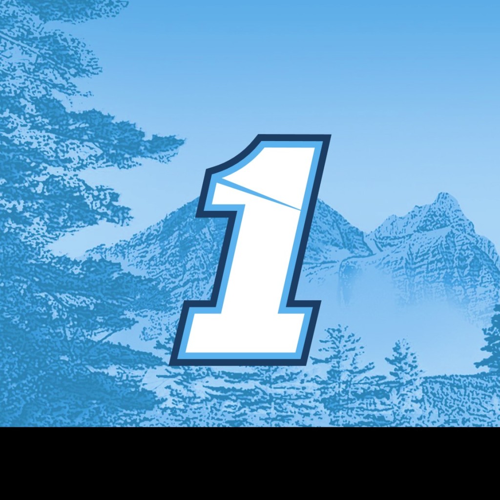 Ross Chastain scheme