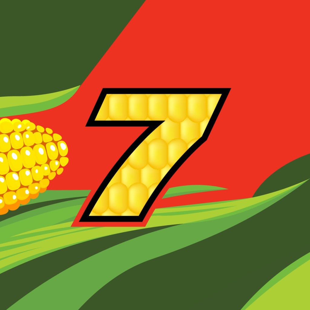 Justin Allgaier scheme