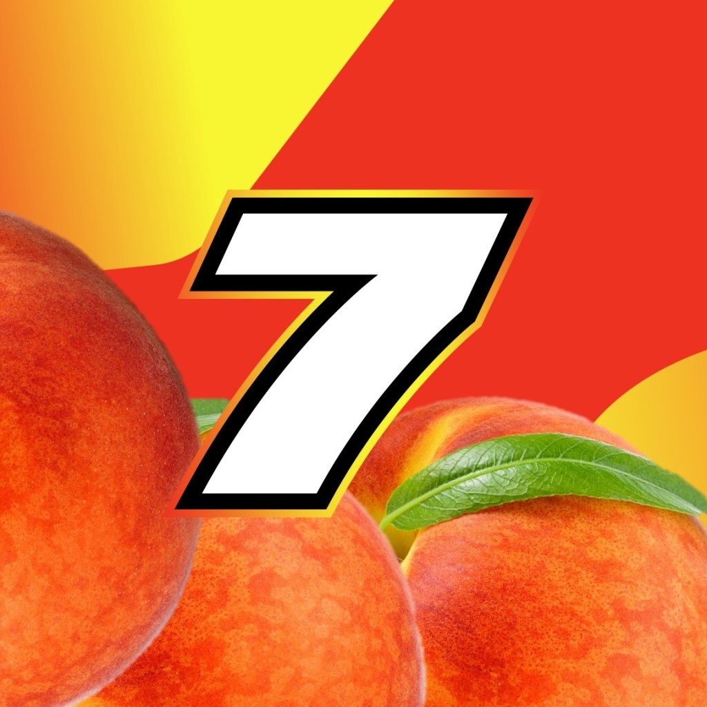 Justin Allgaier scheme