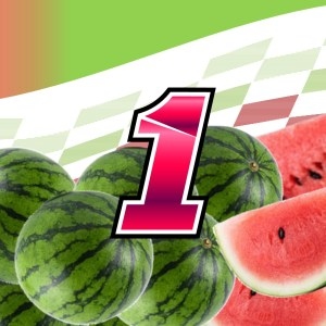 Ross Chastain scheme