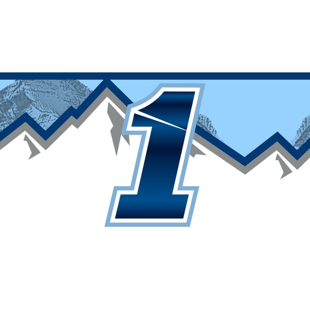 Ross Chastain scheme