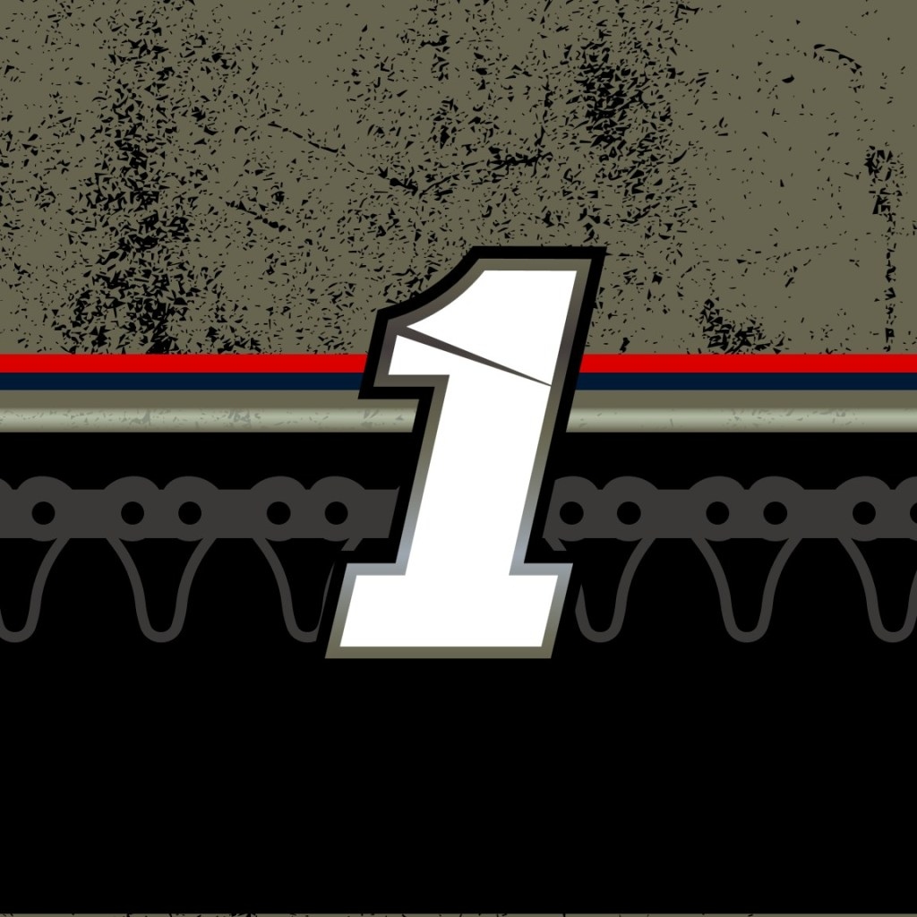 Ross Chastain scheme